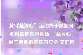 黄V和蓝V
，“黄背心”运动终于激怒身心俱疲的警察队伍 “蓝背心”怠工活动危及法国安全 文汇网