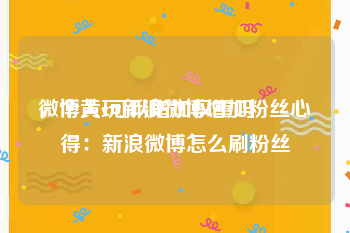 微博黄v可以增加权重吗
，个人玩新浪微博增加粉丝心得：新浪微博怎么刷粉丝