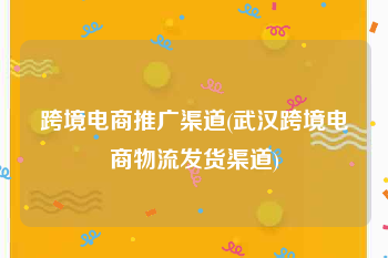 跨境电商推广渠道(武汉跨境电商物流发货渠道)