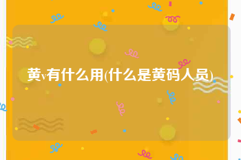 黄v有什么用(什么是黄码人员)