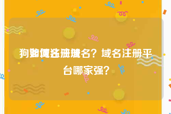 狗爹域名注册
，如何注册域名？域名注册平台哪家强？