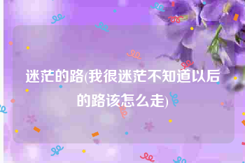 迷茫的路(我很迷茫不知道以后的路该怎么走)
