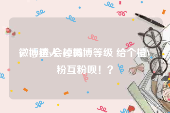 微博橙v会掉吗
，@达人 @微博等级 给个橙V粉互粉呗！？