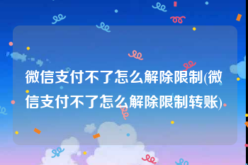 微信支付不了怎么解除限制(微信支付不了怎么解除限制转账)