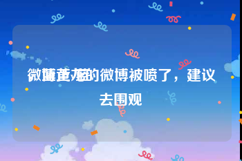 微博黄v蓝v
，蓝正龙的微博被喷了，建议去围观