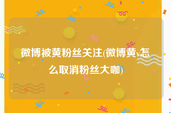 微博被黄粉丝关注(微博黄v怎么取消粉丝大咖)