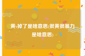 黄v掉了是啥意思(很黄很暴力是啥意思)