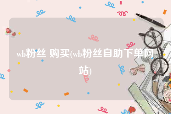 wb粉丝 购买(wb粉丝自助下单网站)