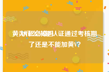 黄v认证会掉吗
，为什么兴趣认证通过考核期了还是不能加黄V？