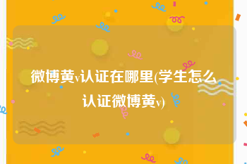 微博黄v认证在哪里(学生怎么认证微博黄v)