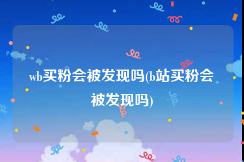 wb买粉会被发现吗(b站买粉会被发现吗)