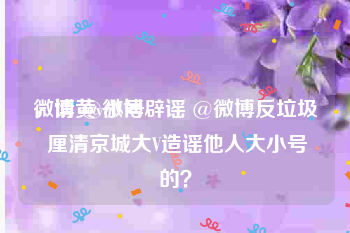 微博黄v小号
，请 @微博辟谣 @微博反垃圾 厘清京城大V造谣他人大小号的？