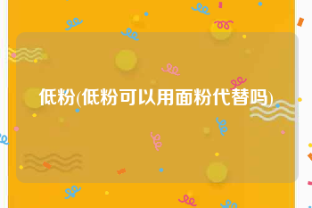 低粉(低粉可以用面粉代替吗)