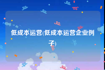 低成本运营(低成本运营企业例子)