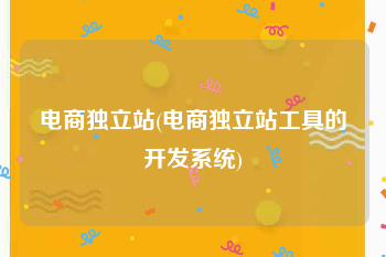 电商独立站(电商独立站工具的开发系统)