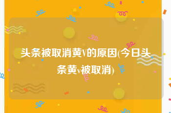 头条被取消黄V的原因(今日头条黄v被取消)