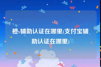 橙v辅助认证在哪里(支付宝辅助认证在哪里)