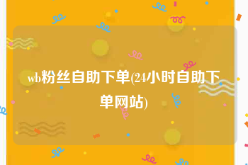 wb粉丝自助下单(24小时自助下单网站)