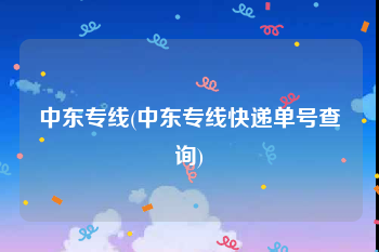 中东专线(中东专线快递单号查询)