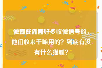 微博成品号
，现在外面好多收微信号的，他们收来干嘛用的？到底有没有什么猫腻？