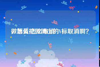微博黄v怎么取消
，怎么把微博上的V标取消啊？