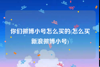 你们微博小号怎么买的(怎么买新浪微博小号)