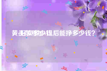 黄v好卖多少钱
，头条号加V以后能挣多少钱？