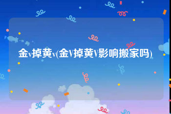 金v掉黄v(金V掉黄V影响搬家吗)