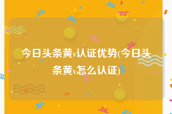 今日头条黄v认证优势(今日头条黄v怎么认证)