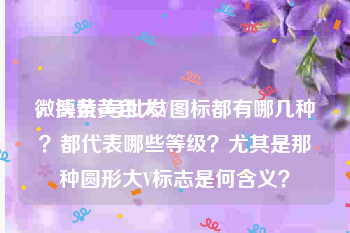 微博黄v号批发
，头条黄色大V图标都有哪几种？都代表哪些等级？尤其是那种圆形大V标志是何含义？