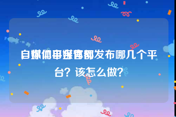 自媒体平台官网
，你们自媒体都发布哪几个平台？该怎么做？