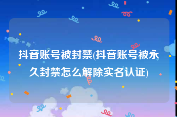 抖音账号被封禁(抖音账号被永久封禁怎么解除实名认证)