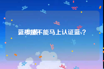 蓝v与黄v
，那能不能马上认证蓝v？