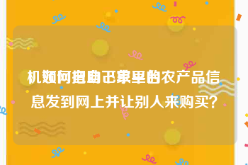 机领网自助下单平台
，如何把自己家里的农产品信息发到网上并让别人来购买？