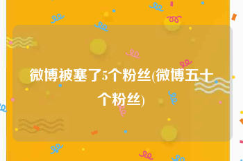 微博被塞了5个粉丝(微博五十个粉丝)