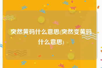 突然黄码什么意思(突然变黄码什么意思)