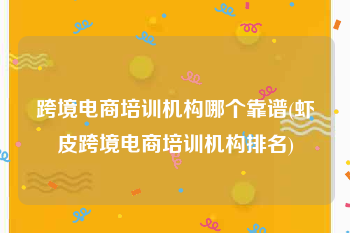跨境电商培训机构哪个靠谱(虾皮跨境电商培训机构排名)