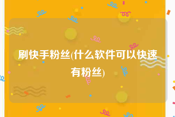 刷快手粉丝(什么软件可以快速有粉丝)