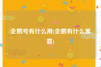企鹅号有什么用(企鹅有什么寓意)