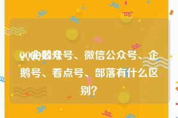 QQ企鹅号
，QQ公众号、微信公众号、企鹅号、看点号、部落有什么区别？