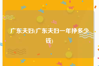 广东夫妇(广东夫妇一年挣多少钱)