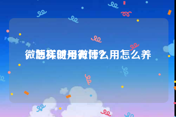 微博实时号有什么用怎么养
，怎样使用微博？