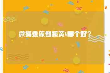 微博达人号和黄v哪个好
，头条原创跟黄V哪个好？