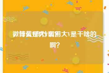 微博黄V有什么用
，什么是大V啊？大V是干啥的啊？