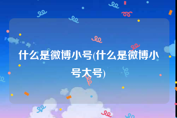 什么是微博小号(什么是微博小号大号)