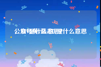 公众号黄v蓝v红v是什么意思
，加V是什么意思？