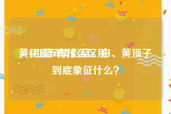 黄v和蓝v有什么区别
，民族风情街蓝、白、黄顶子到底象征什么？