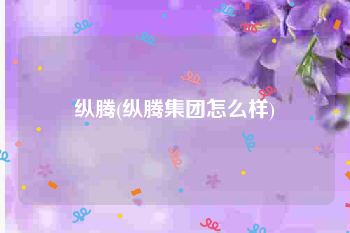 纵腾(纵腾集团怎么样)