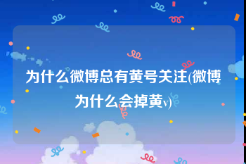 为什么微博总有黄号关注(微博为什么会掉黄v)