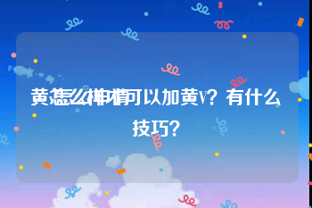 黄v怎么申请
，怎么样才可以加黄V？有什么技巧？